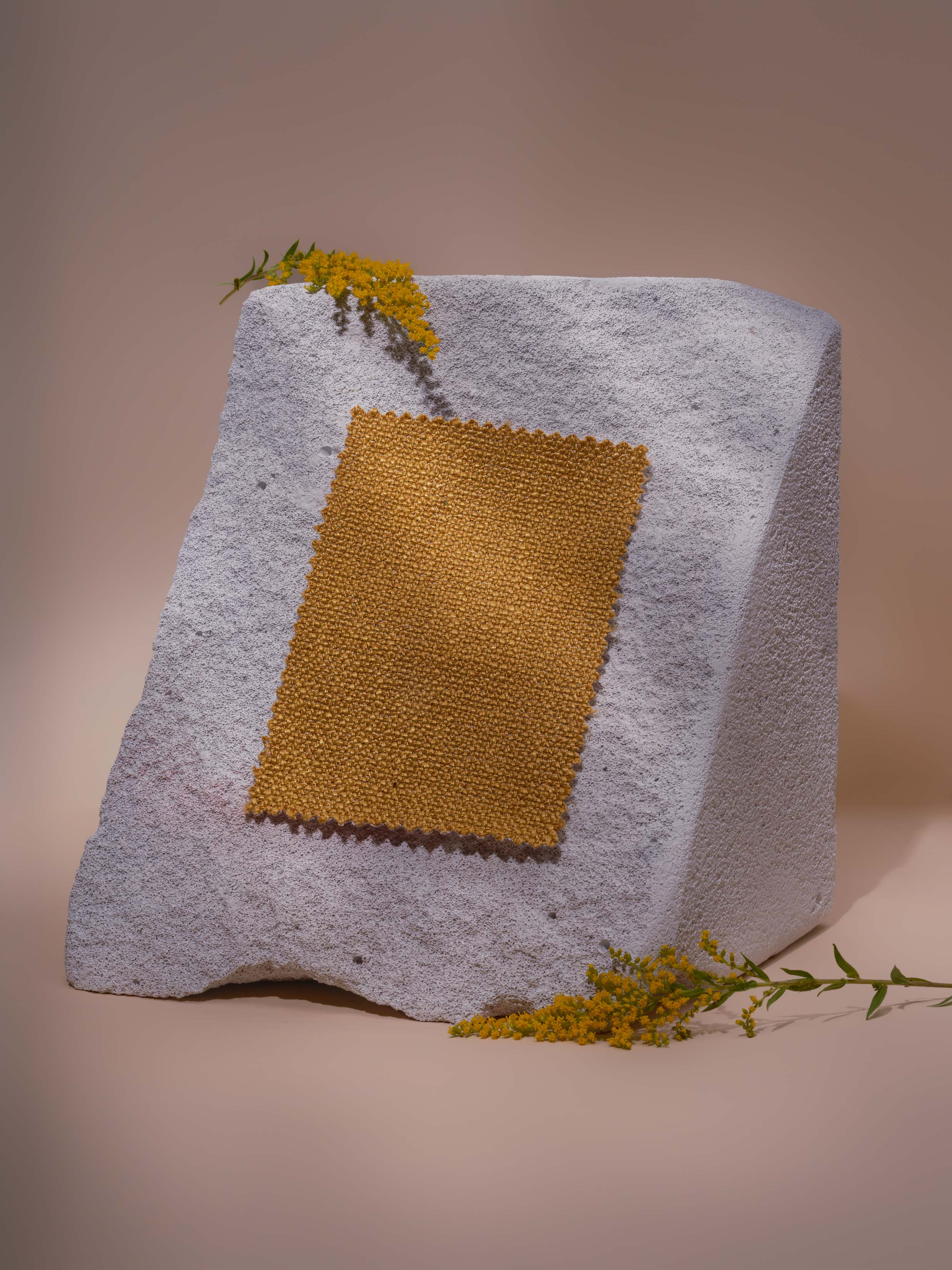 Zdjęcie galerii nr 2